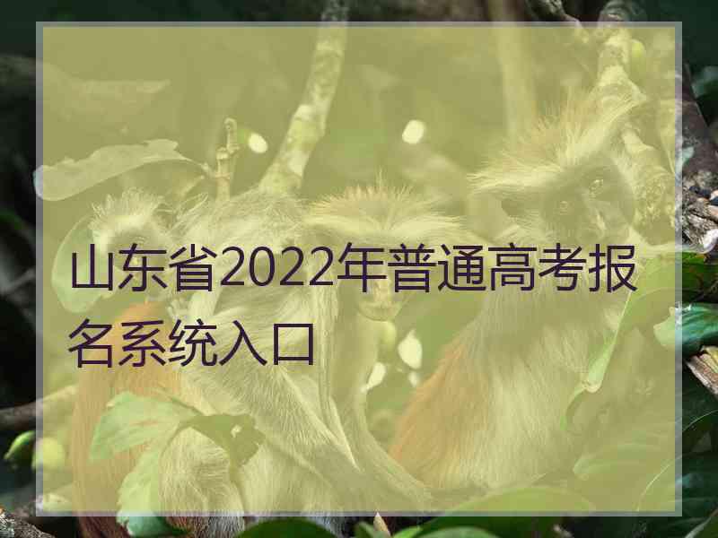 山东省2022年普通高考报名系统入口