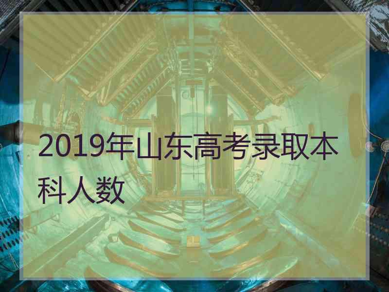 2019年山东高考录取本科人数