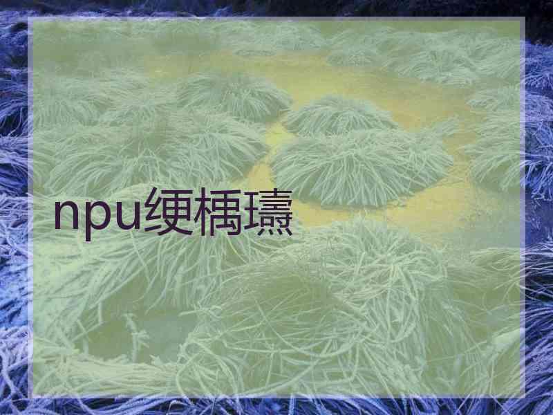 npu绠楀瓙