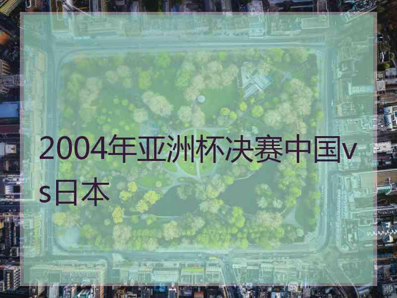 2004年亚洲杯决赛中国vs日本