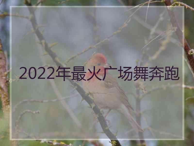 2022年最火广场舞奔跑