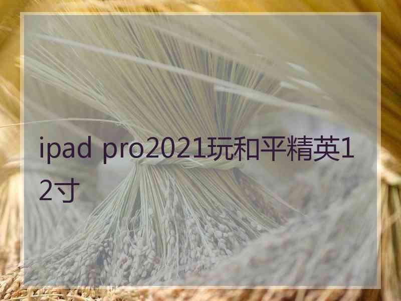 ipad pro2021玩和平精英12寸