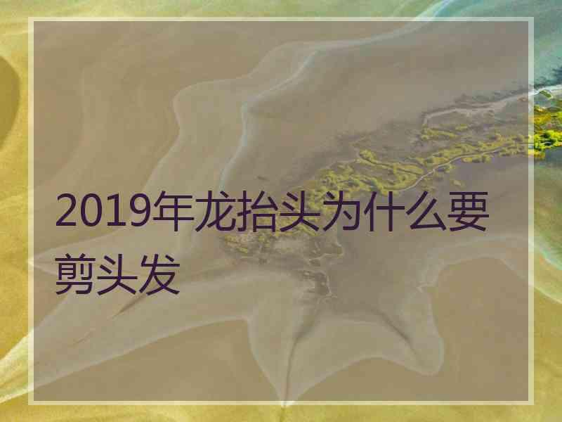 2019年龙抬头为什么要剪头发