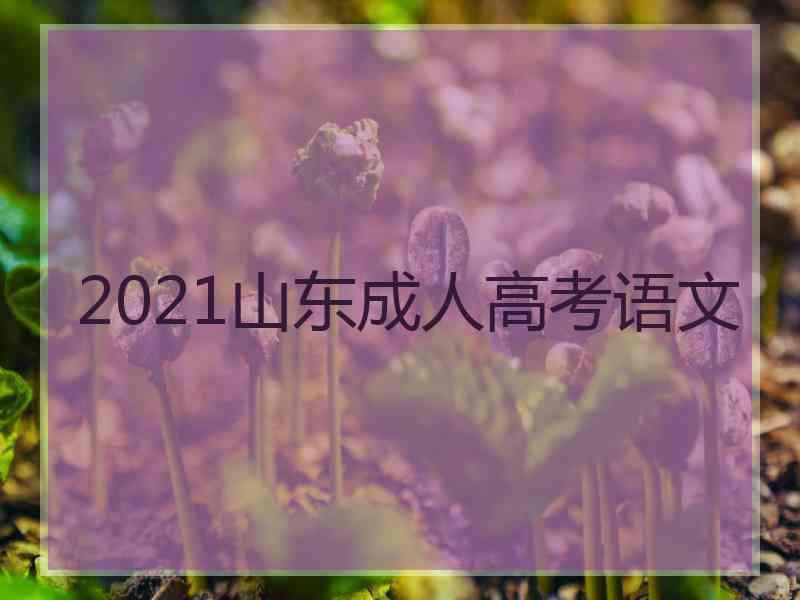 2021山东成人高考语文