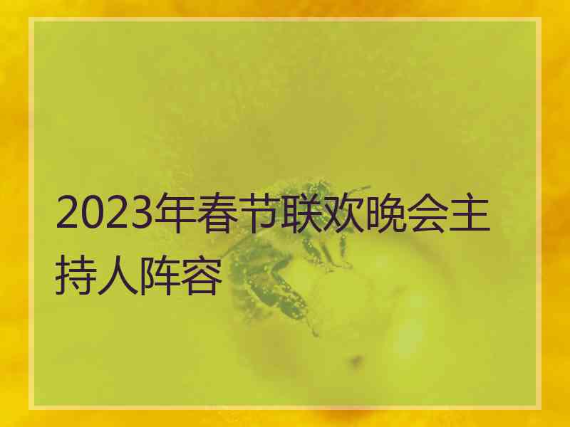 2023年春节联欢晚会主持人阵容