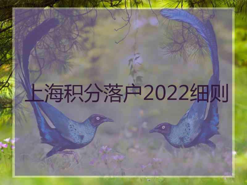 上海积分落户2022细则