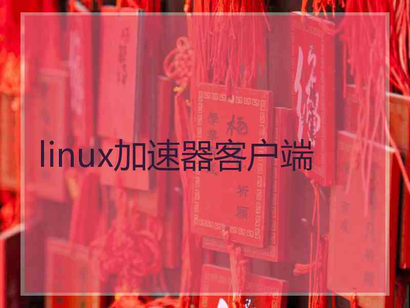 linux加速器客户端