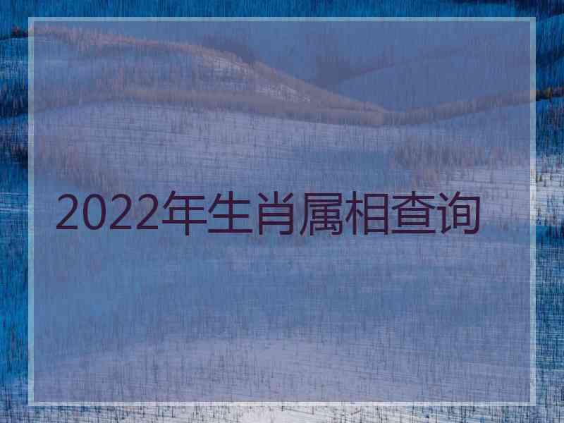 2022年生肖属相查询