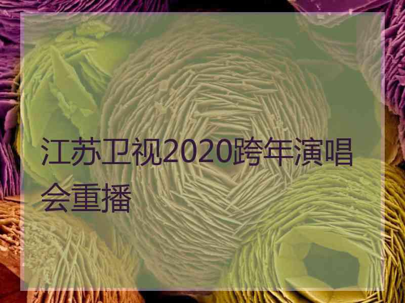 江苏卫视2020跨年演唱会重播