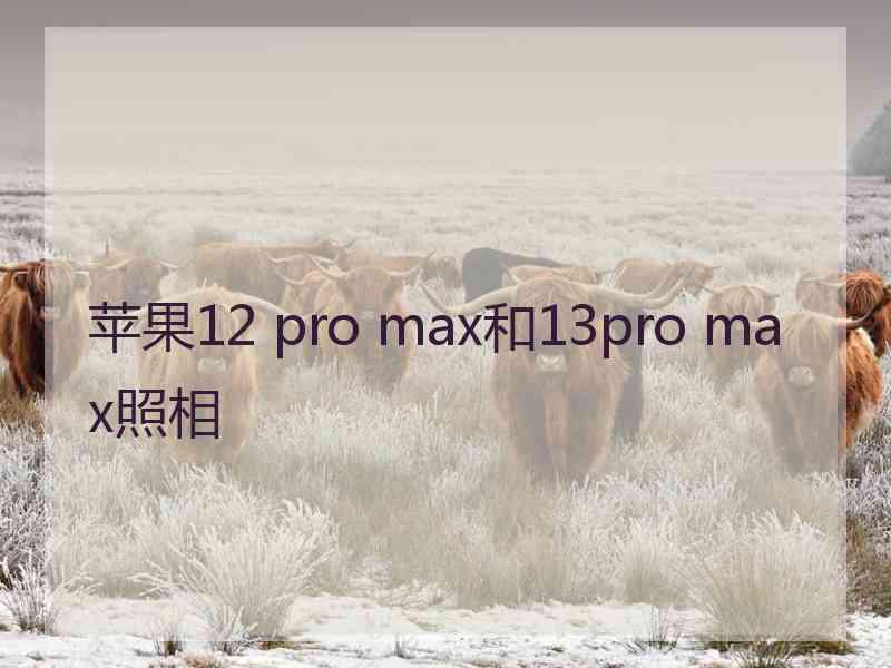 苹果12 pro max和13pro max照相