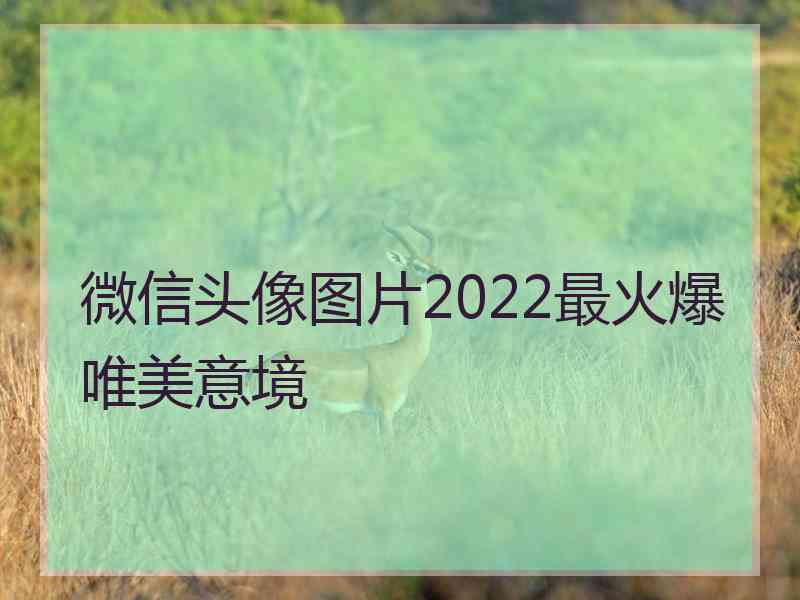 微信头像图片2022最火爆唯美意境