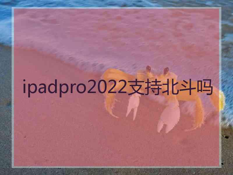 ipadpro2022支持北斗吗