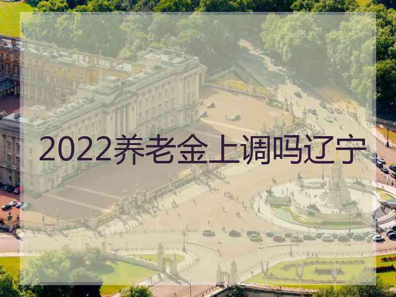 2022养老金上调吗辽宁