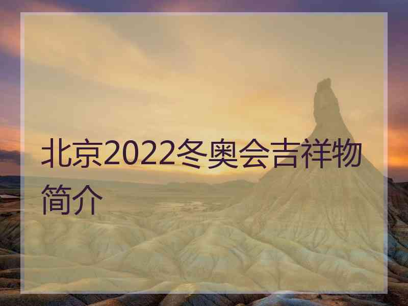 北京2022冬奥会吉祥物简介