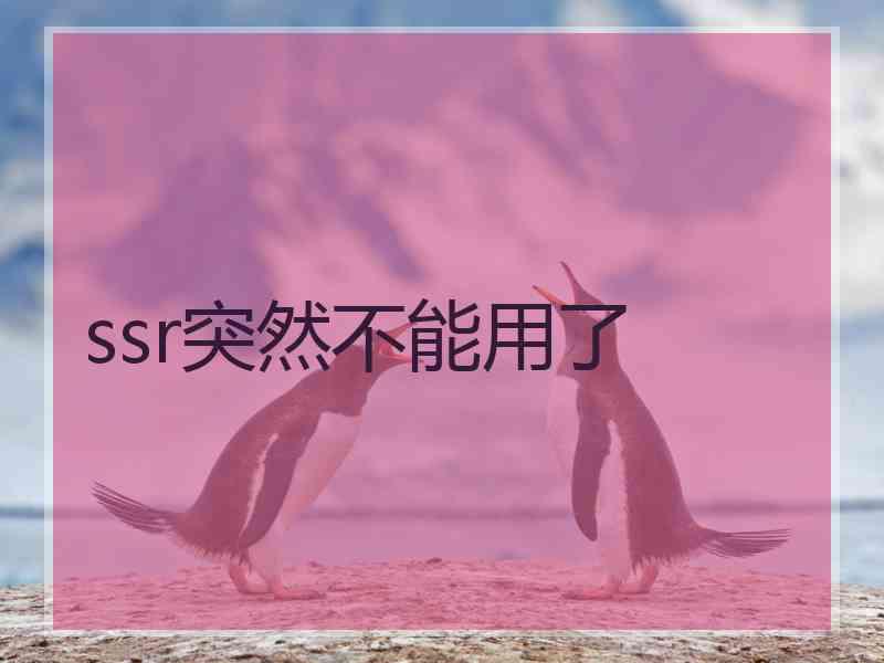 ssr突然不能用了