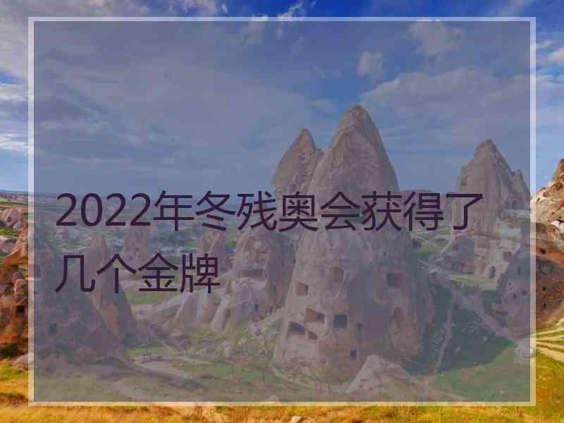 2022年冬残奥会获得了几个金牌