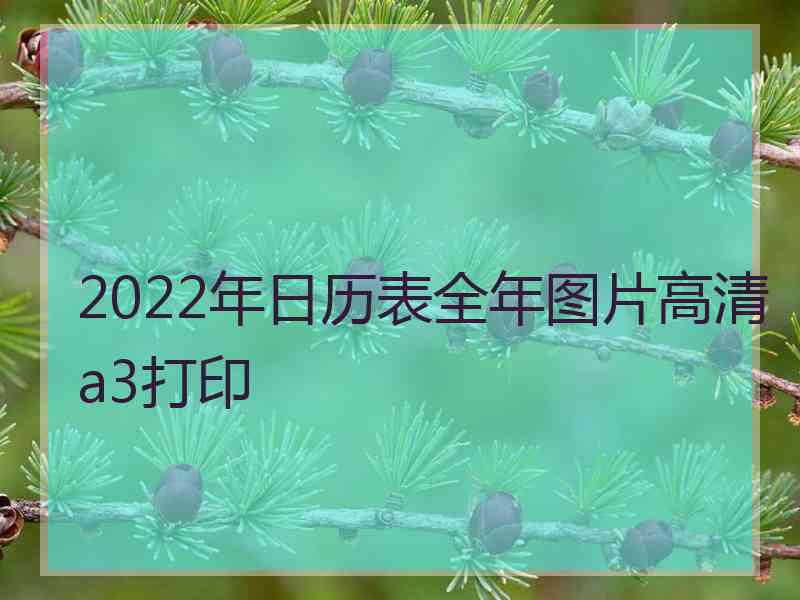 2022年日历表全年图片高清a3打印