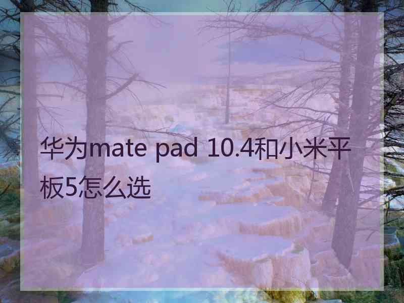 华为mate pad 10.4和小米平板5怎么选