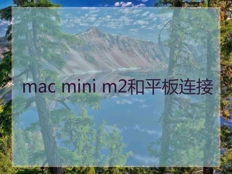 mac mini m2和平板连接