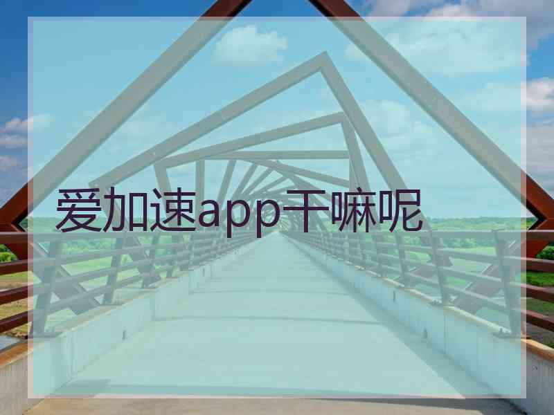 爱加速app干嘛呢