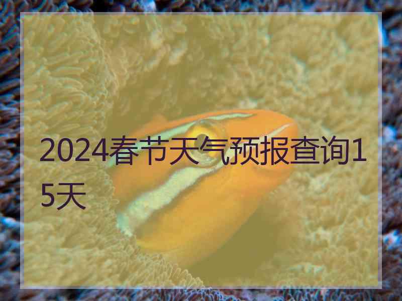 2024春节天气预报查询15天