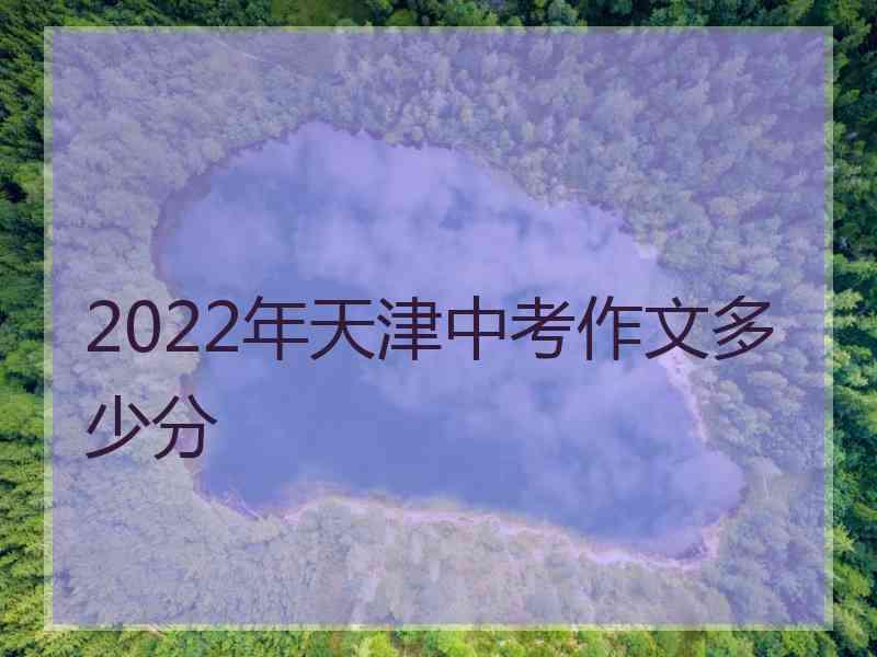 2022年天津中考作文多少分