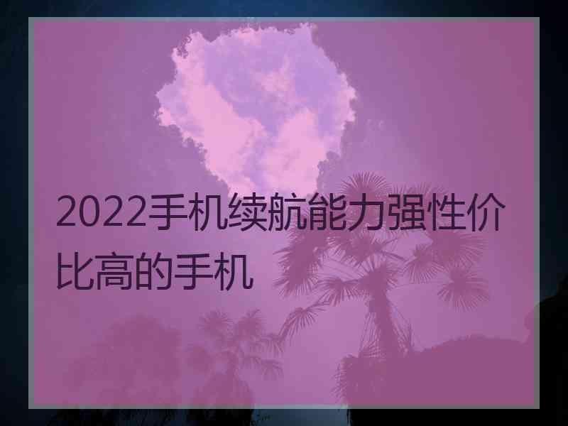 2022手机续航能力强性价比高的手机