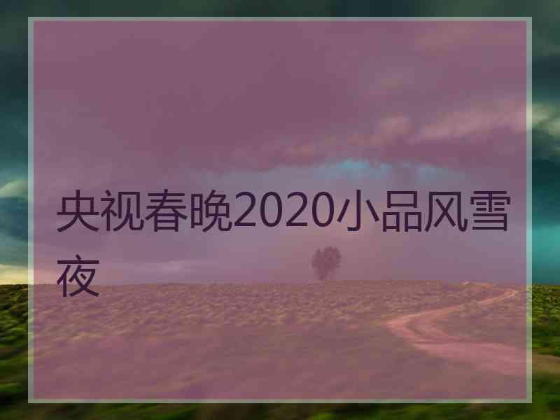 央视春晚2020小品风雪夜