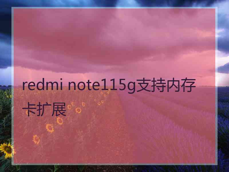 redmi note115g支持内存卡扩展