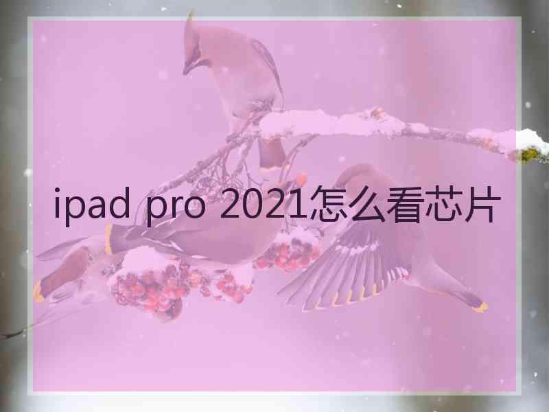 ipad pro 2021怎么看芯片