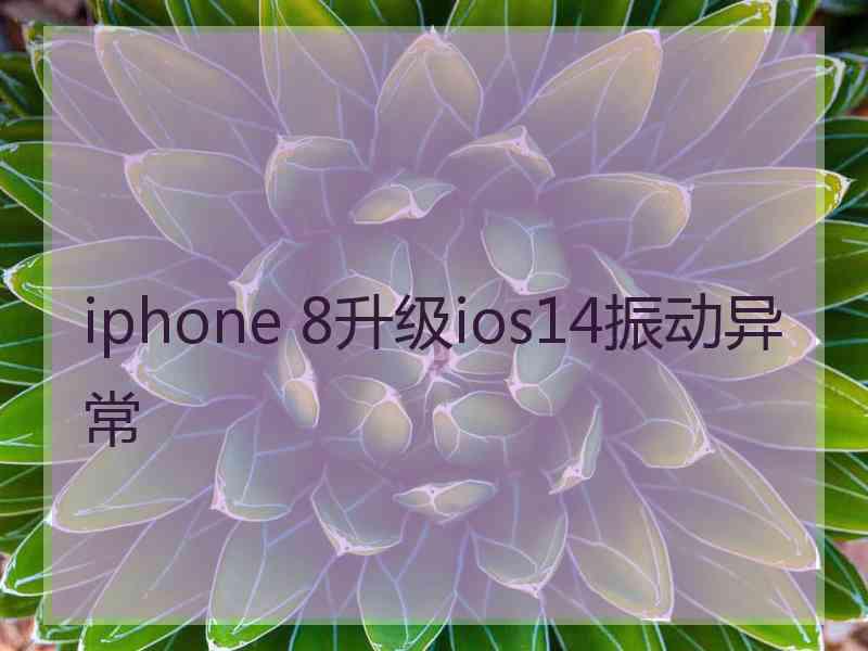 iphone 8升级ios14振动异常