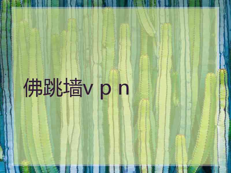 佛跳墙v p n