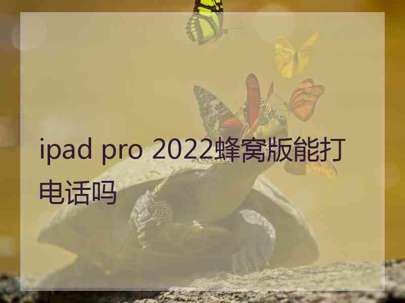 ipad pro 2022蜂窝版能打电话吗