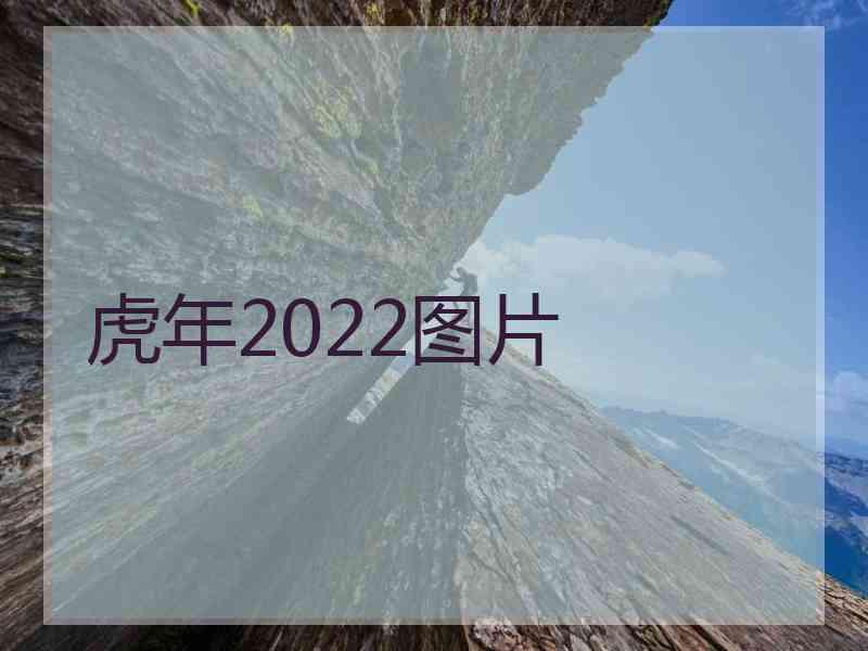 虎年2022图片