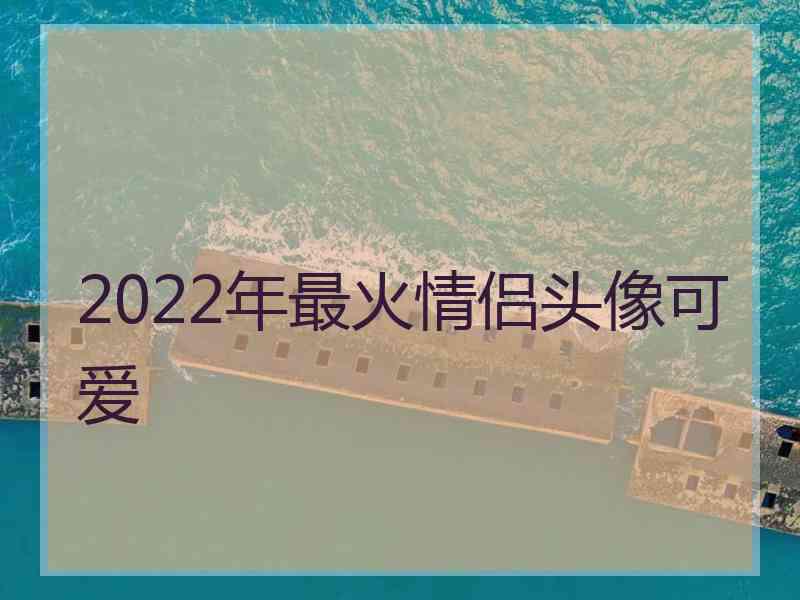 2022年最火情侣头像可爱