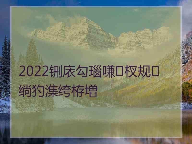 2022铏庡勾瑙嗛杈规绱犳潗绔栫増