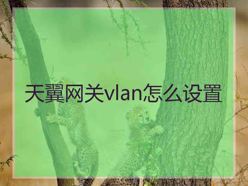 天翼网关vlan怎么设置