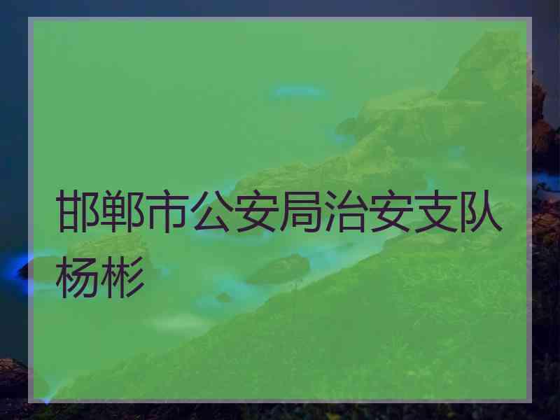 邯郸市公安局治安支队杨彬