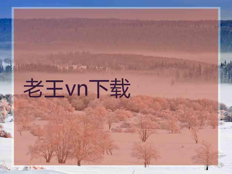 老王vn下载