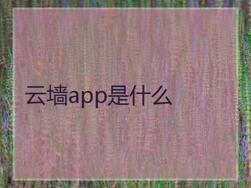 云墙app是什么