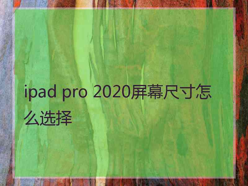 ipad pro 2020屏幕尺寸怎么选择