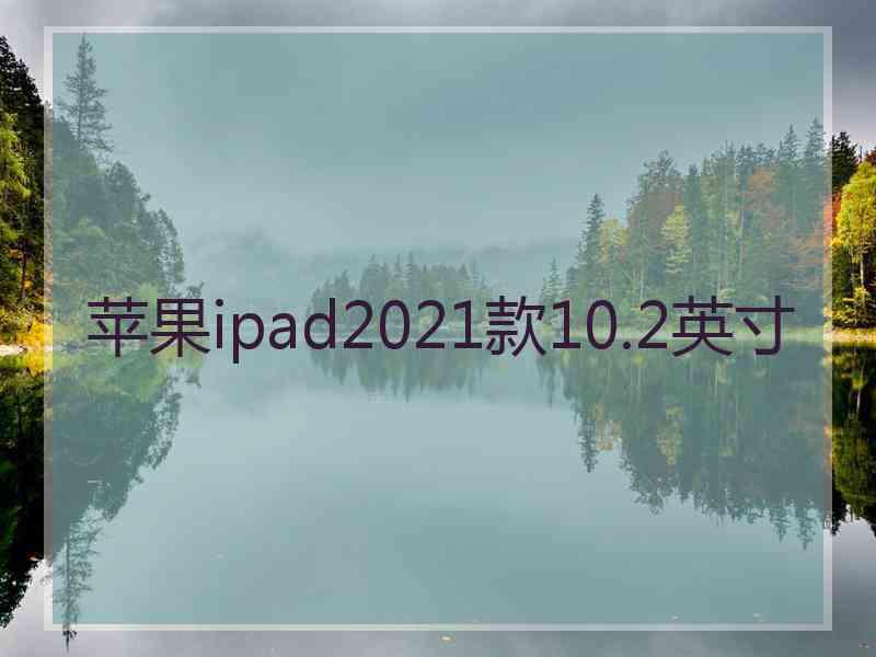 苹果ipad2021款10.2英寸