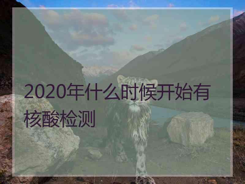 2020年什么时候开始有核酸检测