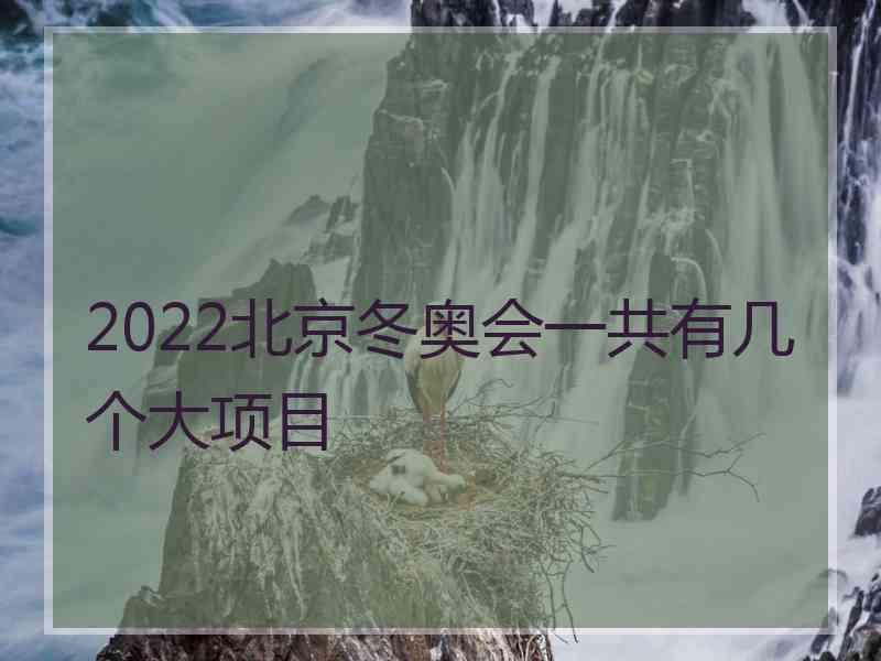 2022北京冬奥会一共有几个大项目