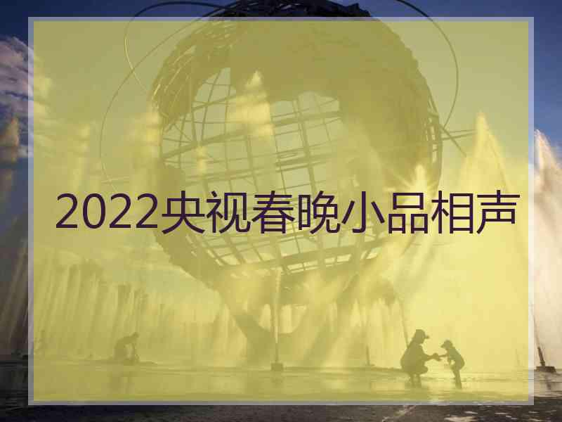 2022央视春晚小品相声