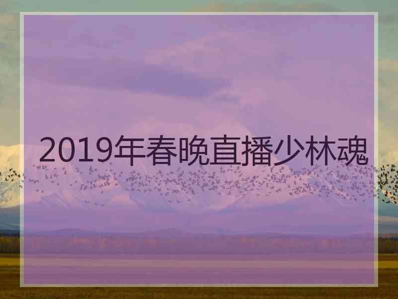 2019年春晚直播少林魂