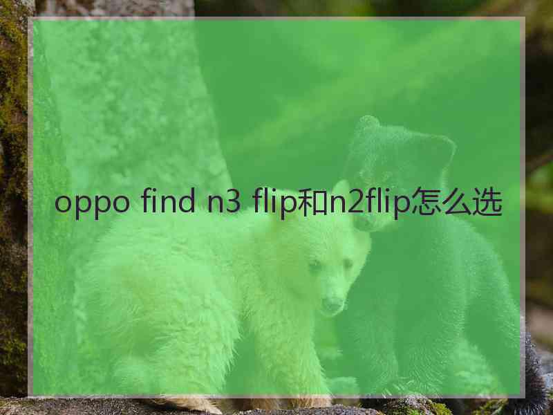 oppo find n3 flip和n2flip怎么选