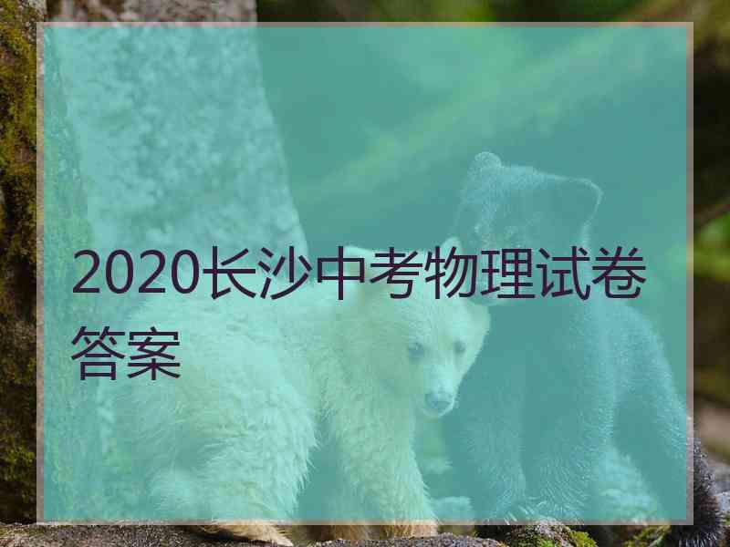 2020长沙中考物理试卷答案