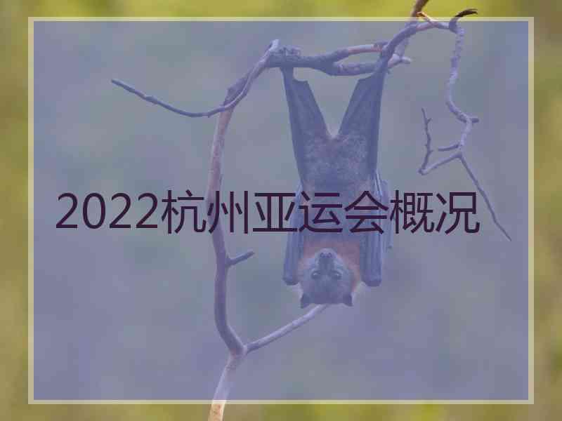 2022杭州亚运会概况