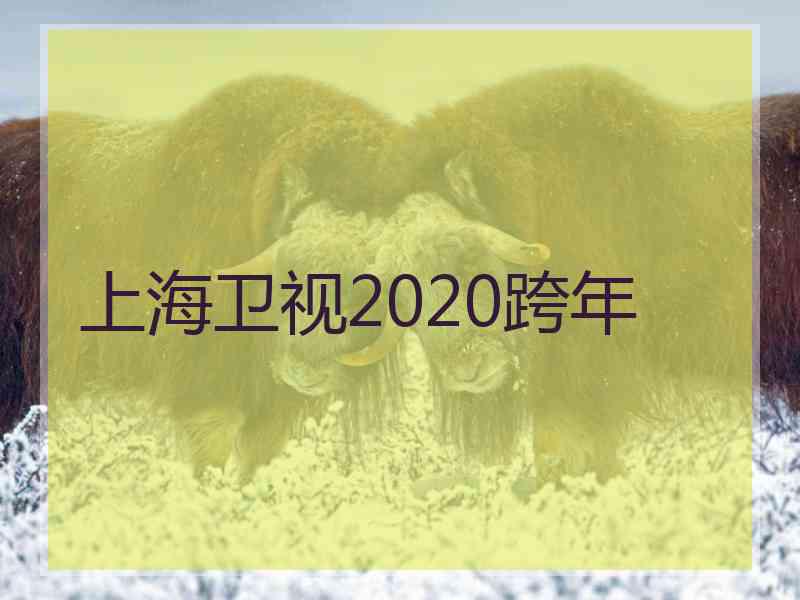 上海卫视2020跨年